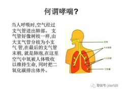 预防哮喘疾病的饮食方法有哪些